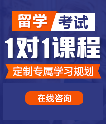 啊啊啊啊艹逼网站留学考试一对一精品课